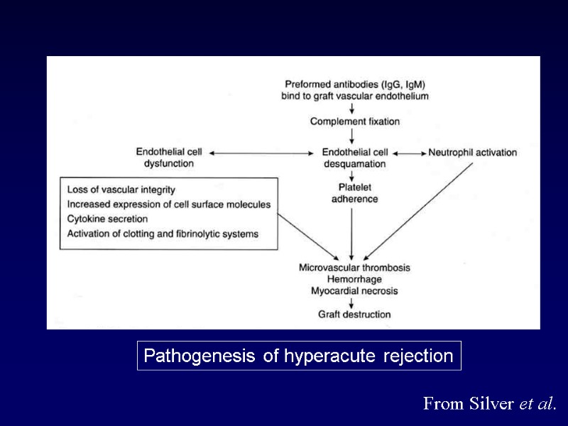 Pathogenesis of hyperacute rejection From Silver et al.